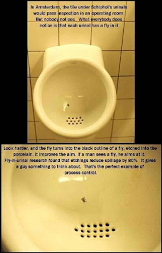 toilet-fly-560x870